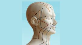 Bentolson Traditional Acupuncture