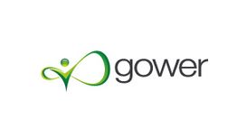 Gower Acupuncture