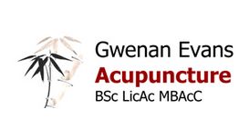 Gwenan Evans Acupuncture