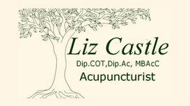 Liz Castle MBAcC, Acupuncturist
