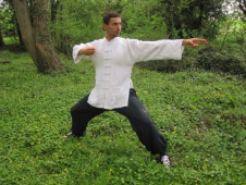 Qigong Lessons