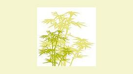 Bea Masters Acupuncture