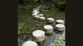 Stepping Stones Acupuncture